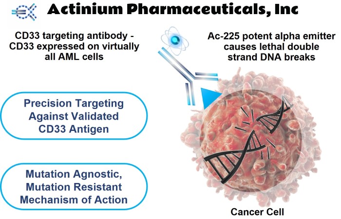 Actinium Pharmaceuticals Inc 1