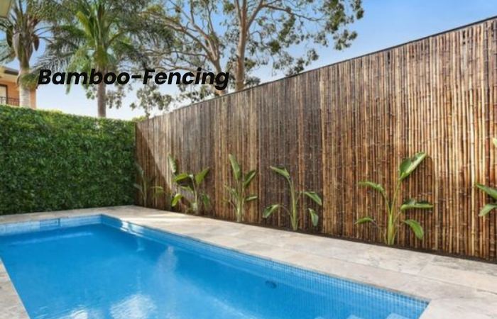 Bamboo-Fencing