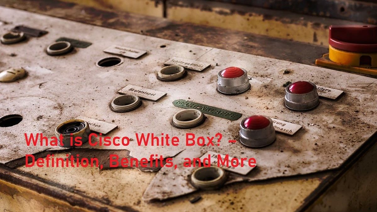 What is Cisco White Box? – Definition, Benefits, and More