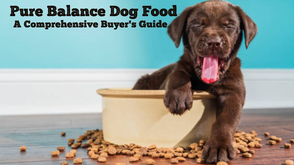 Pure Balance Dog Food: A Comprehensive Buyer’s Guide