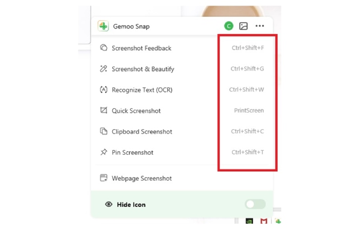 How to Screenshot on Google Chrome via Gemoo Snap?