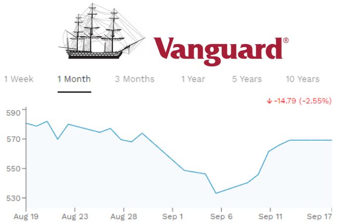 Vanguard Information Technology